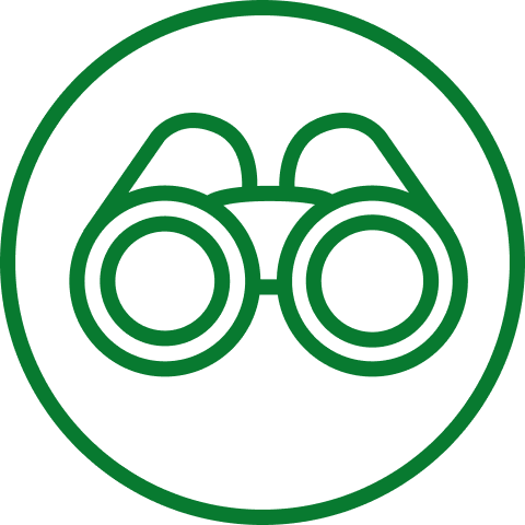 Fernglas-Icon